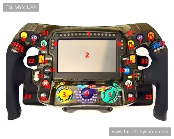 F1赛车的方向盘为什么不是圆的？，f1赛车方向盘详解