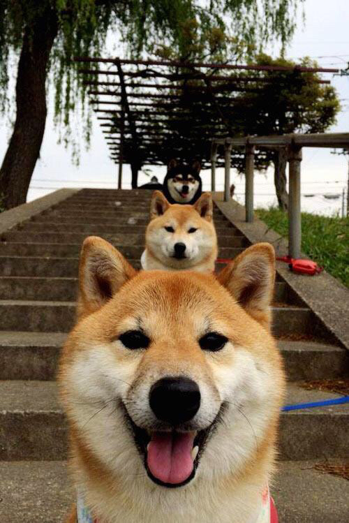 五大联赛大比分逆转案例战术特征总结，五大联赛分析大师