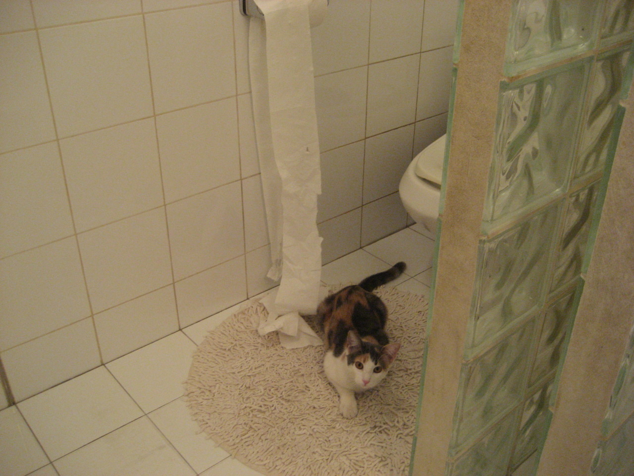 国足复仇亚洲杯 精彩比赛让人热血沸腾，国足亚洲对手