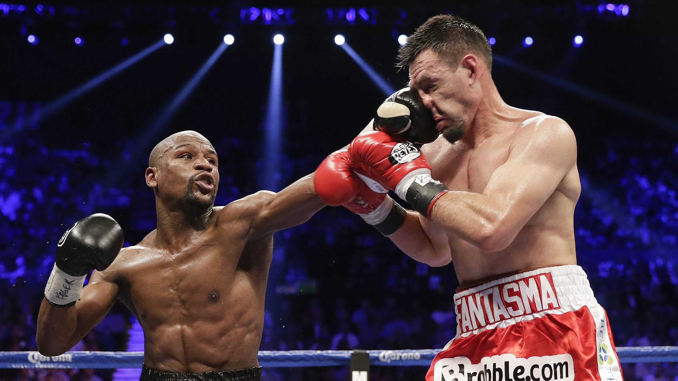 球迷投票最希望看到的互动环节，mvp球迷投票