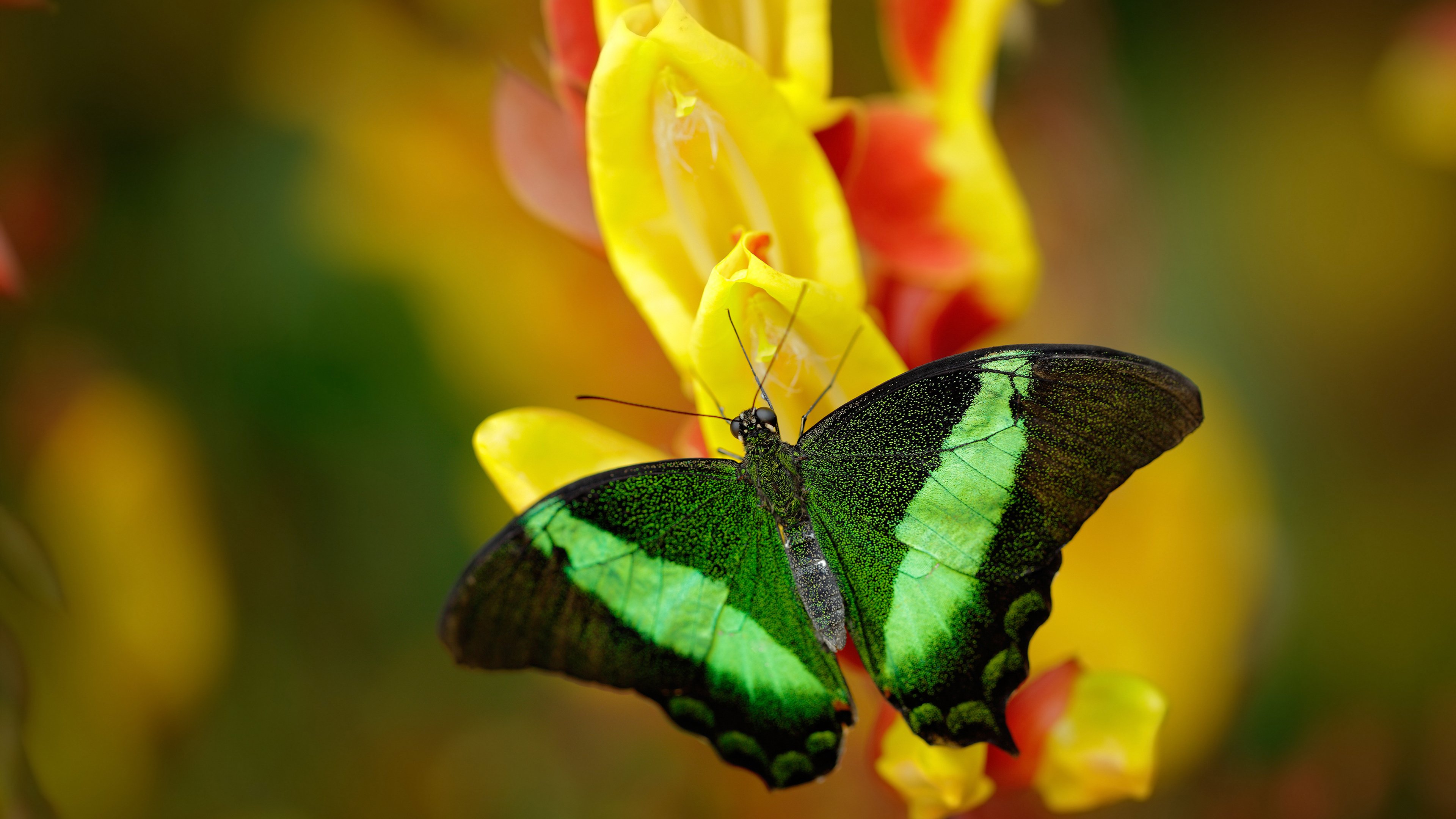 篮球赛季季后赛竞争白热化，篮球季后赛和常规赛的区别
