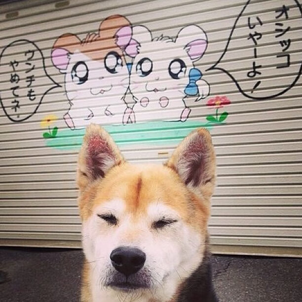 青训数据跟踪系统建设滞后，青训数据跟踪系统建设滞后怎么办