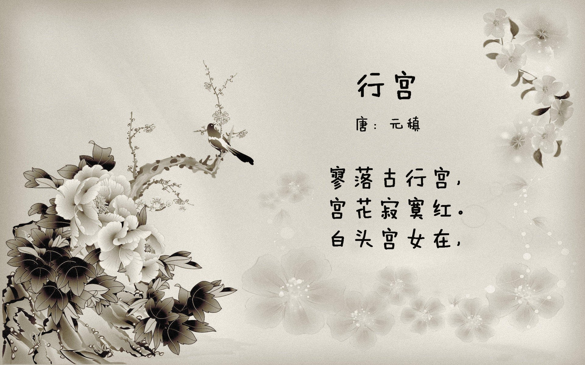 地方篮球联盟积极推动赛事规范化和品牌建设，地方篮协