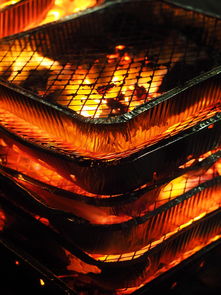 开云体育链接-森林狼主场布景焕然一新增强品牌识别度，森林狼logo